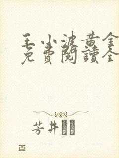 王小波黄金时代免费阅读全文