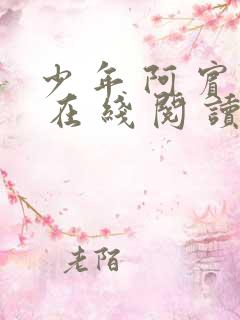 少 年 阿 宾 在 线 阅 读