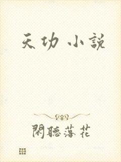 天功 小说