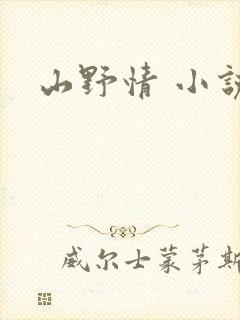 山野情 小说