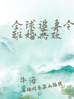 全球追妻令老婆离婚无效