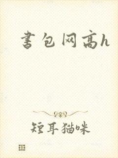 书包网高h