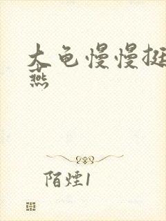 大龟慢慢挺进张燕