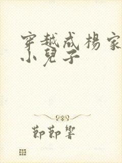 穿越成杨家将最小儿子