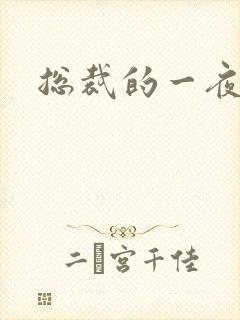 总裁的一夜情人