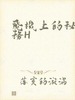 飞机上的秘密服务H