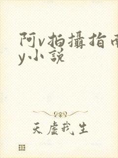 阿v拍摄指南by小说