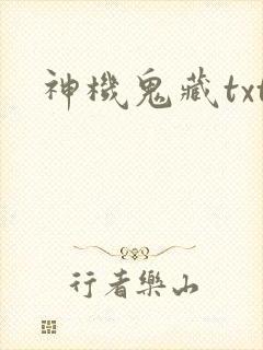 神机鬼藏txt