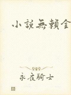 小说无赖金仙