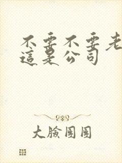 不要不要老板别这是公司