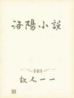 洛阳小说