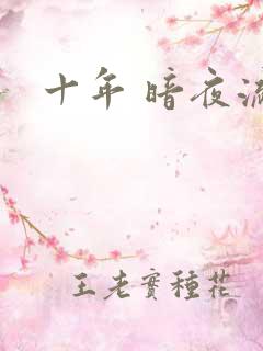 十年 暗夜流光
