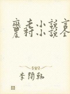 恋老小说言情网农村小说全文阅读