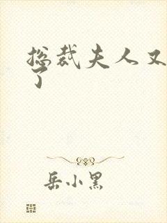 总裁夫人又征婚了