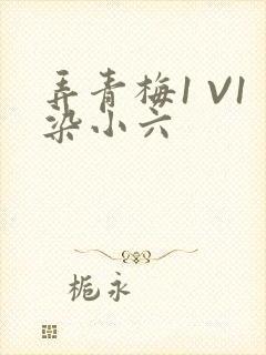 弄青梅1 V1染小六