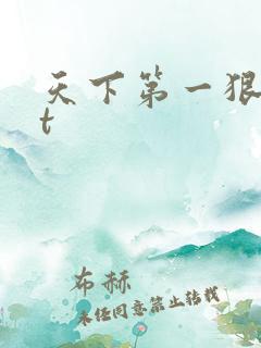 天下第一狠txt