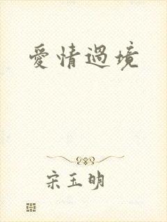 爱情过境