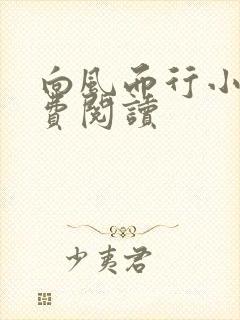 向风而行小说免费阅读