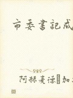 市委书记成长记