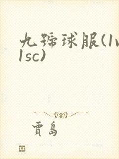 九号球服(1v1sc)