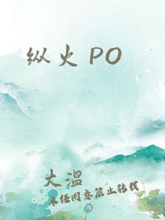 纵火 PO