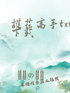 护花高手txt下载