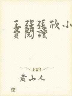 王强张欣小说免费阅读