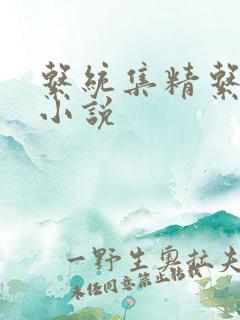 系统集精系统 小说