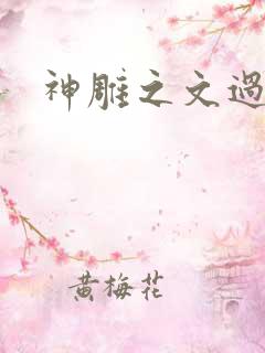 神雕之文过饰非