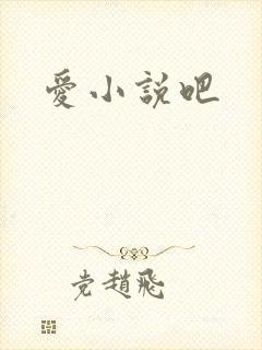 爱小说吧