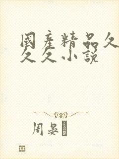 国产精品久久久久久小说