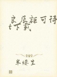 良辰讵可待txt下载