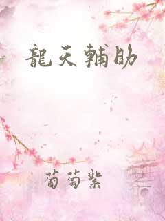 龙天辅助