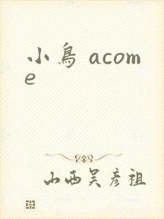 小鸟 acome