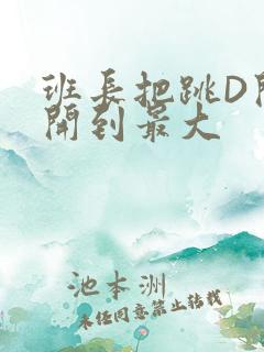 班长把跳D开关开到最大