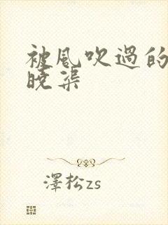 被风吹过的夏天晓渠