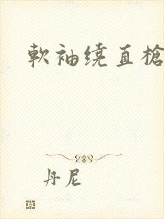 软袖绕直枪