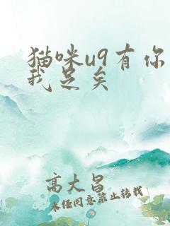 猫咪u9有你有我足矣