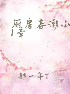 厨房春潮小说第1章