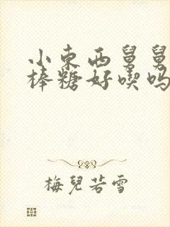 小东西舅舅的棒棒糖好吃吗