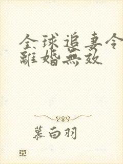 全球追妻令老婆离婚无效