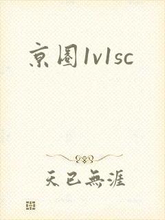 京圈1v1sc