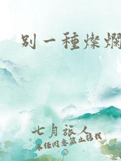 别一种灿烂生活