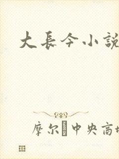 大长今小说下载