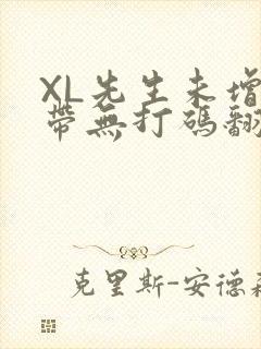 XL先生未增删带无打码翻译