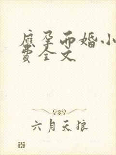 应孕而婚小说免费全文