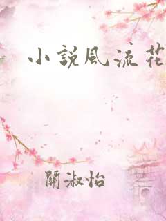 小说风流花少