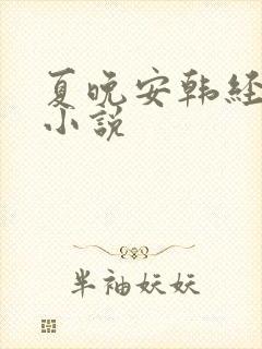 夏晚安韩经年的小说