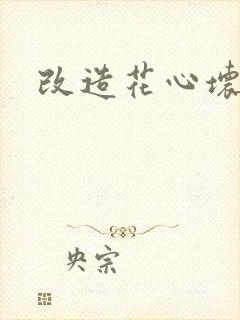 改造花心坏相公