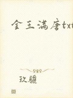 金玉满唐txt